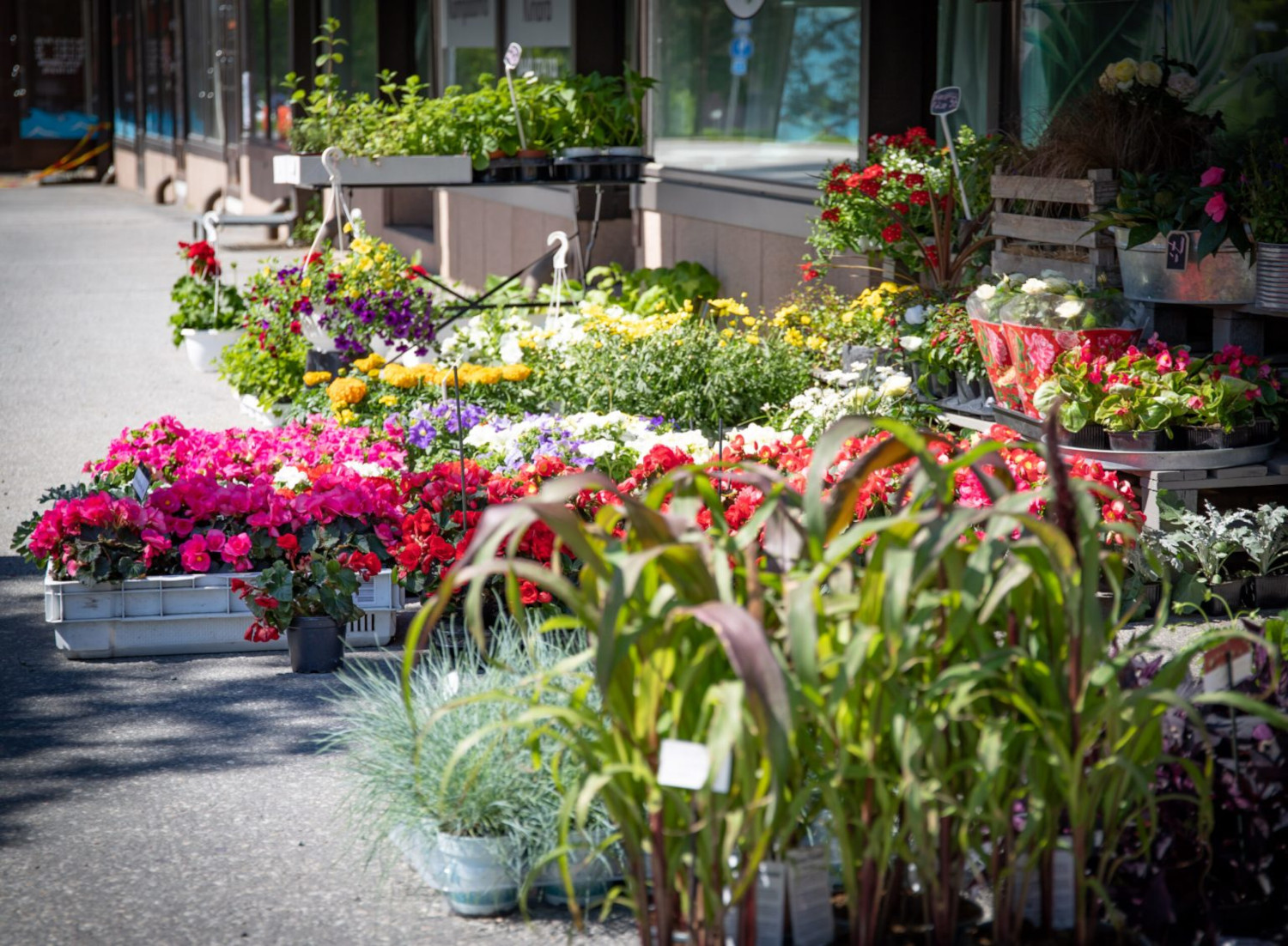 Kirsin Kukka ja hautauspalvelu Interflora